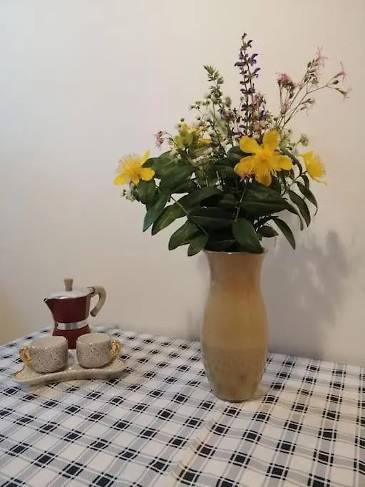 B&B Il Maggiociondolo Fontaniva Apartment